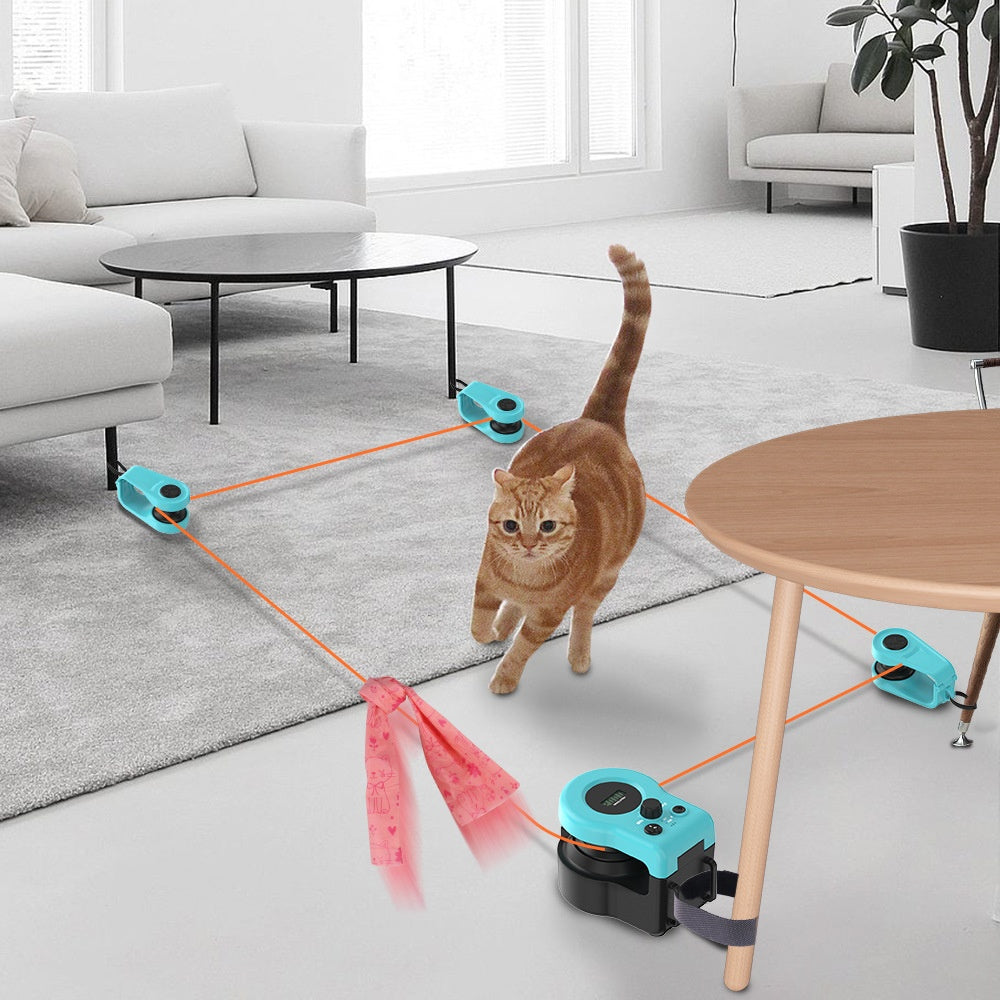 Cat playing with a laser pointer toy in a modern living room.