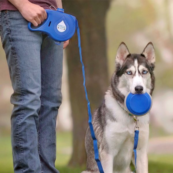 Person walking a dog with a blue retractable leash in a park.