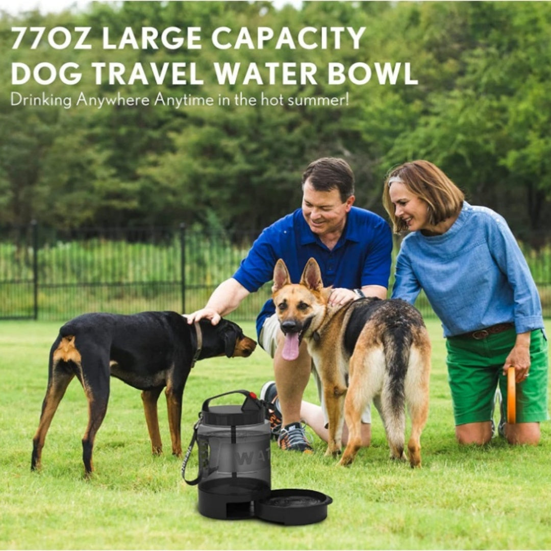 People with dogs in a park featuring a large capacity dog travel water bowl.