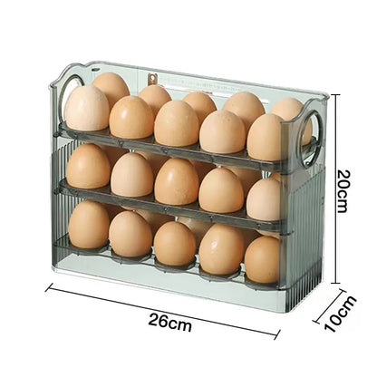 Egg storage container with eggs and dimensions labeled