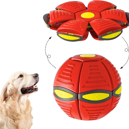 Red and yellow dog toy with a dog looking at it on a white background
