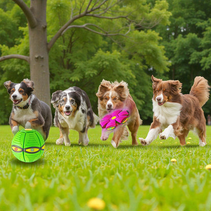 Four dogs playing with toys on a grassy field