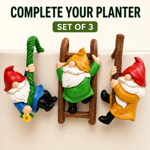 Three small gnome garden figurines displayed on a beige surface against a white background, with text at the top reading 'COMPLETE YOUR PLANTER' and 'SET OF 3'. The gnomes are painted in multiple bright colors: one wears red and blue with a green staff, one wears green and orange while climbing a ladder, and one wears orange and red while holding a staff.