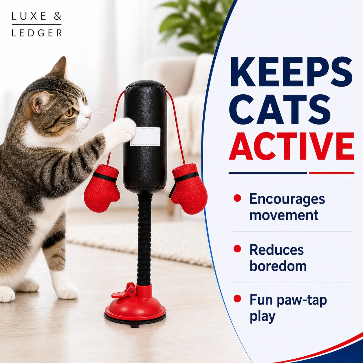 Cat playing with a punching bag toy in a home setting, with text highlighting benefits.