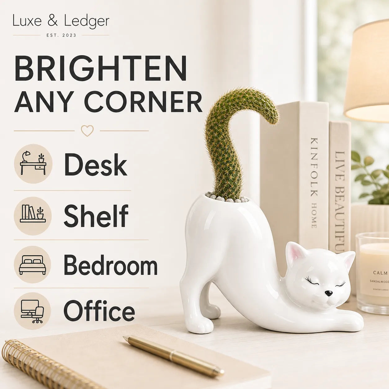 White cat-shaped planter with a cactus on a desk with text about its uses.
