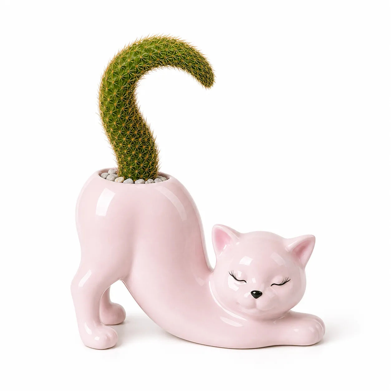 Pink cat-shaped planter with a cactus on a white background