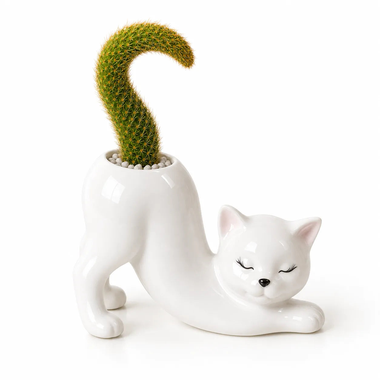 White ceramic cat-shaped planter with a cactus on a white background