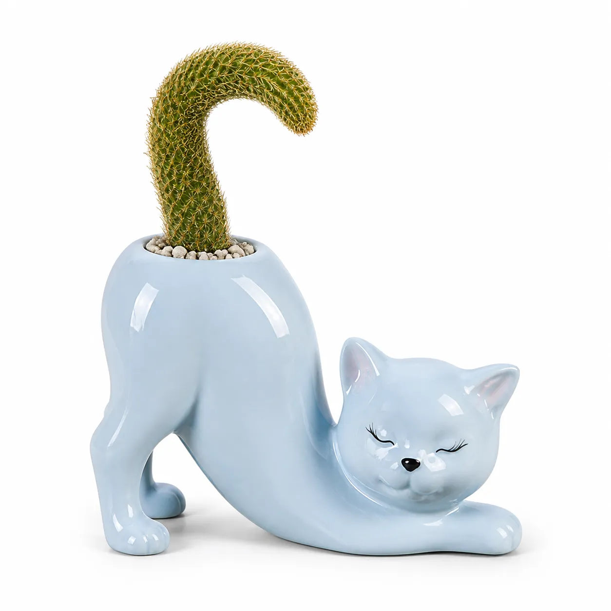 Ceramic cat-shaped planter with a cactus on a white background