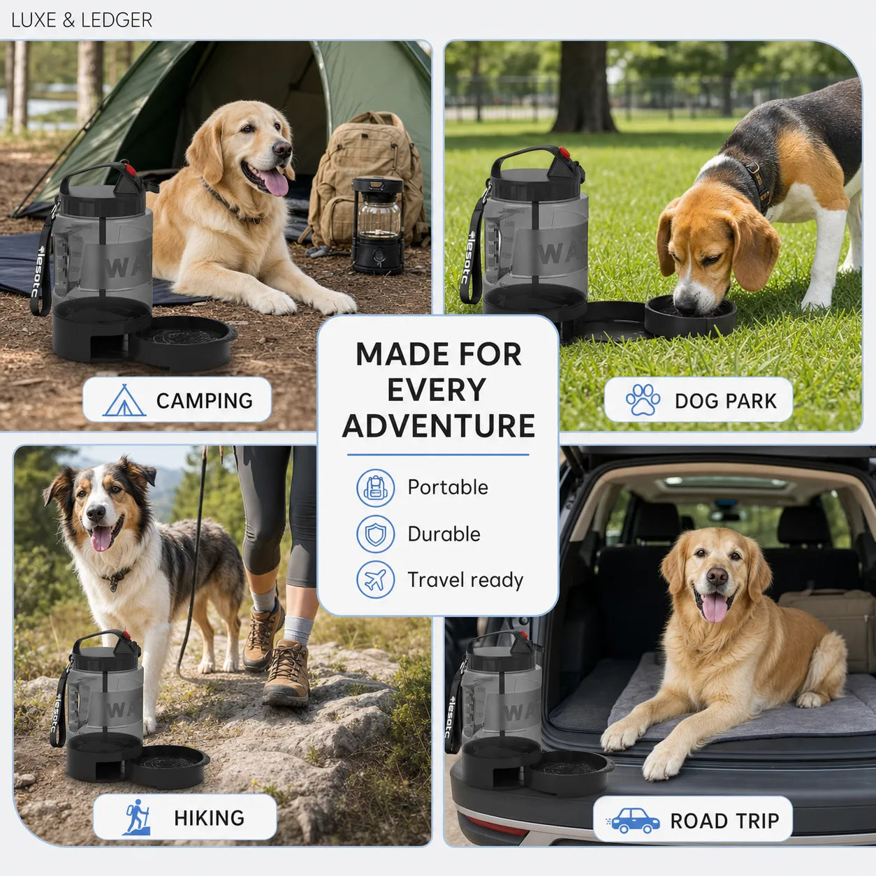 Collage of dogs in various settings with a product labeled 'Made for Every Adventure'.