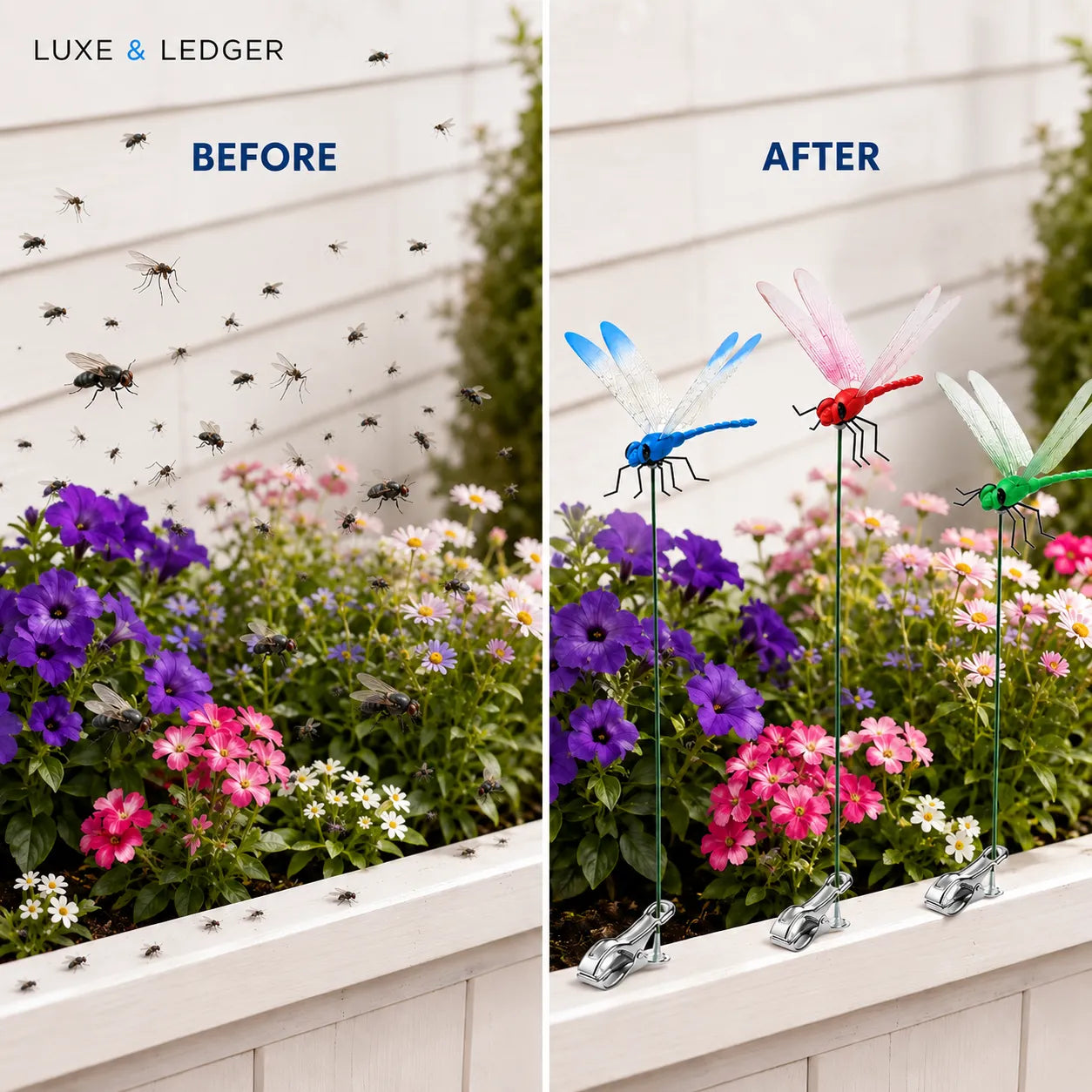 Before and after comparison of a garden with insect traps and decorative dragonflies.