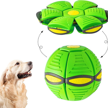 Green and yellow dog toy with a dog looking at it on a white background