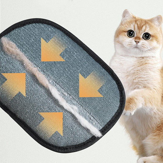 Cat   CleanPaw Magic Glowe pet hair in seconds with a feather and a cat sitting next to it on a light gray background